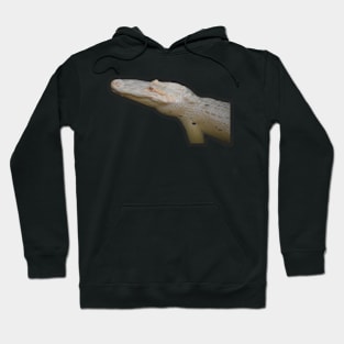 Albino Alligator Hoodie